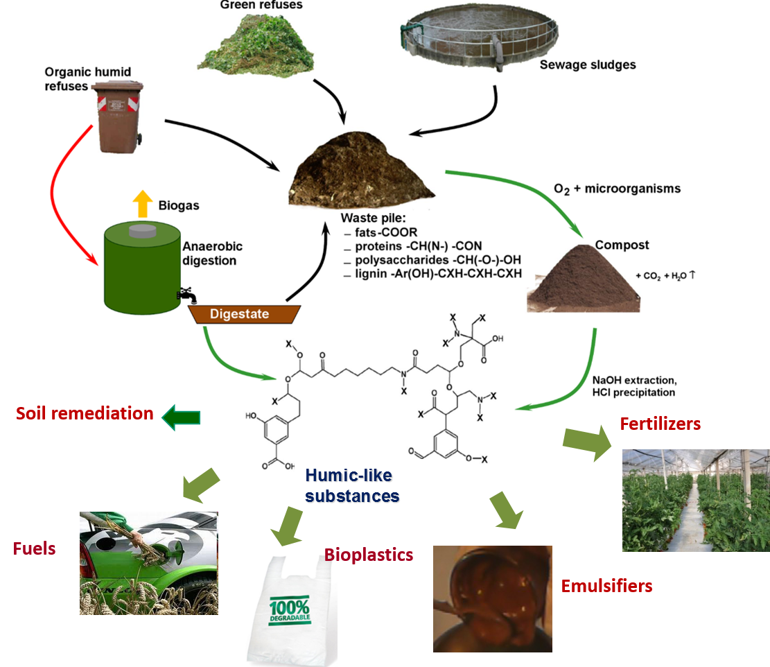 upload_Biochemenergy.png